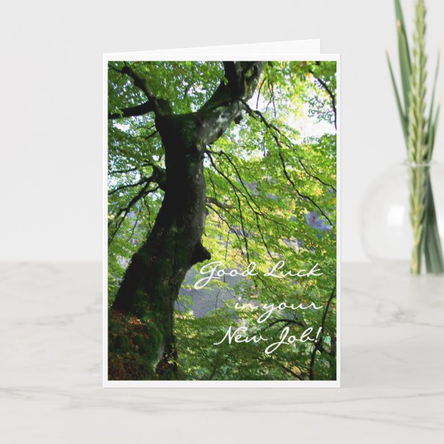 Nytt Jobbkort i Lycka till Kort (Framsida)