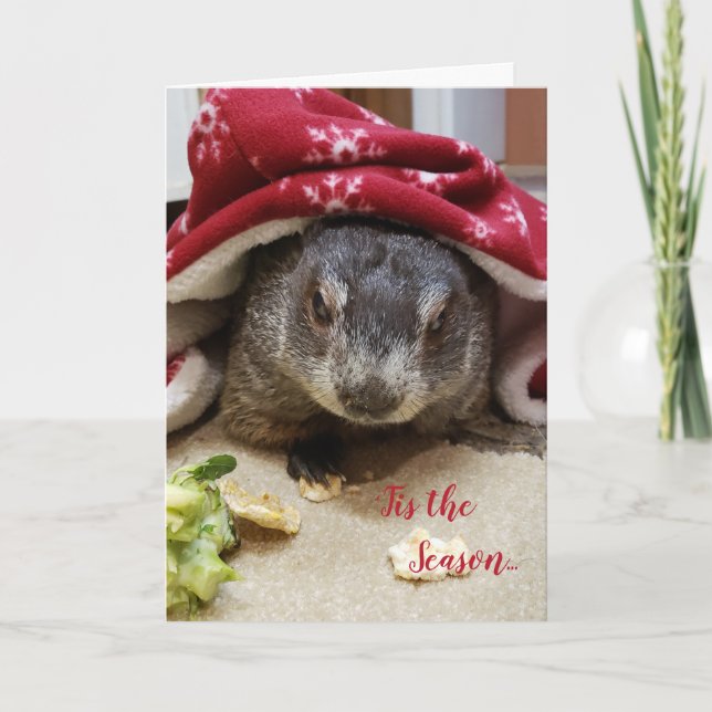 Nytt! Julhälsningar kort för Groundhog Carrie (Framsida)