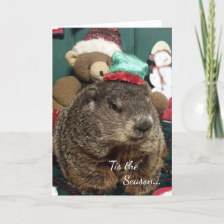 Nytt! Julhälsningar kort för Groundhog Moses