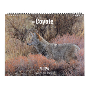Nytt! Kalender "Jag är Coyote" 2024