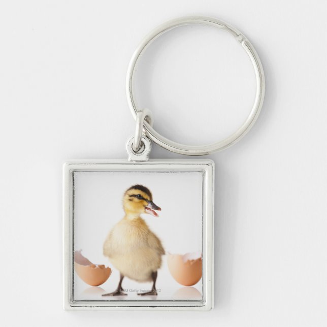 Nytt kläckt chick bredvid den brutna äggsnäckan fyrkantig silverfärgad nyckelring (Framsidan)