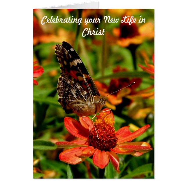 Nytt liv i Kristus Hälsningskort (Framsidan)