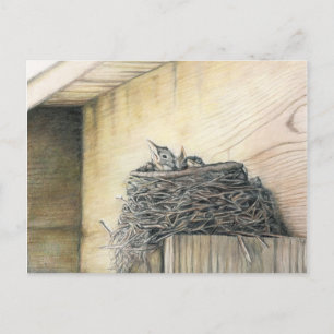 Nytt liv under Deck Robins Nest Art-vykort Vykort