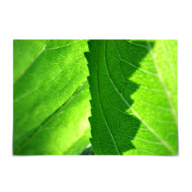 Nytt Löv-kort för Grönt av nya jobb