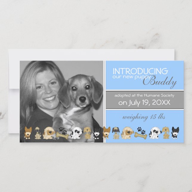 Nytt meddelande om antagande av Hund (Framsida)