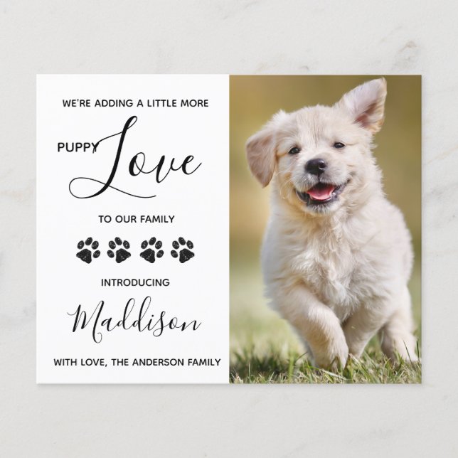 Nytt meddelande om den budgeterade marionettdockan (Framsida)