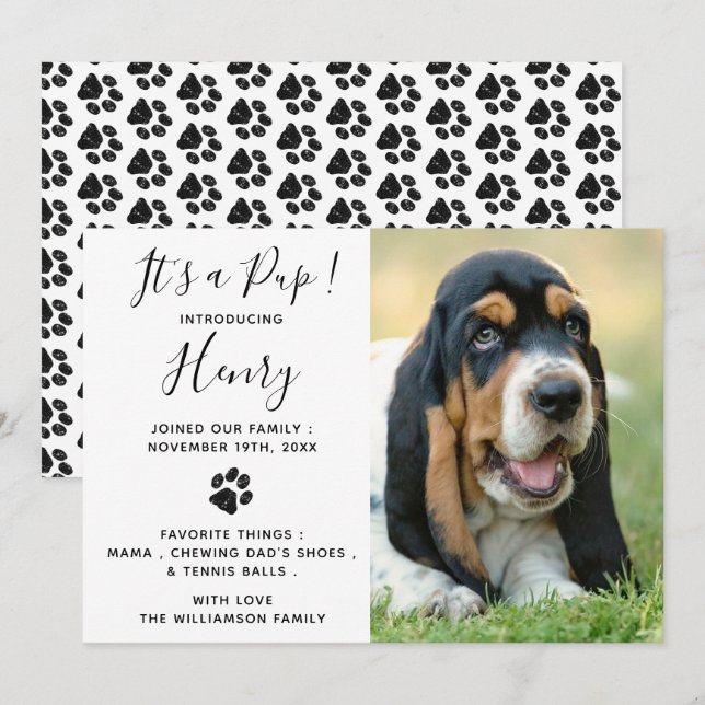 Nytt meddelande om marionettdockan Pet Hund Inbjudningar (Fram/baksida)