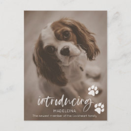 Nytt meddelande om valp eller Hund, adoptionskort Vykort