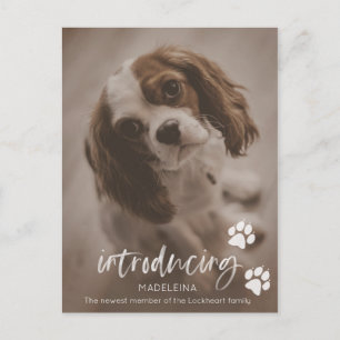 Nytt meddelande om valp eller Hund, adoptionskort  Vykort