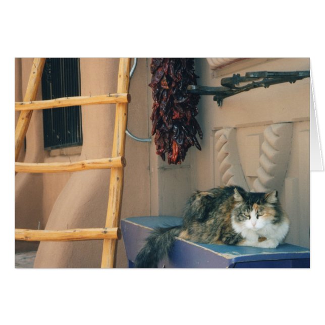Nytt - mexico katt hälsningskort (Framsidan Horizontal)