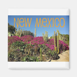 Nytt - mexico magnet