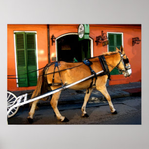 Nytt Orleans Fransk Quarter Carriage Mun Print Poster