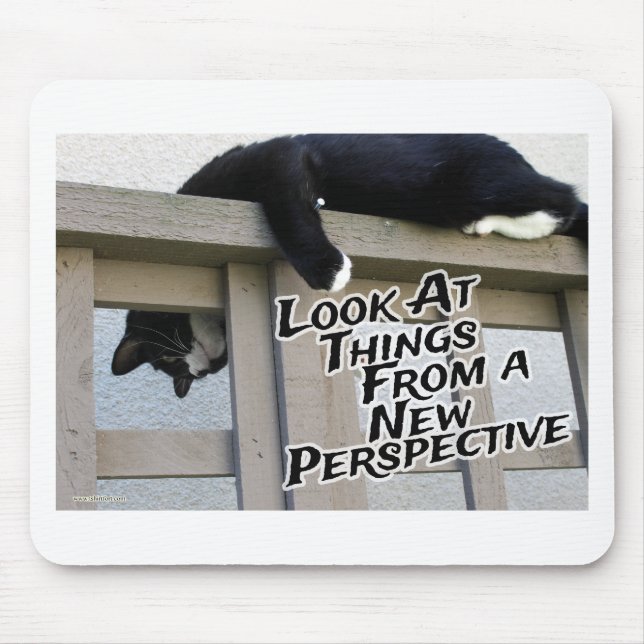 Nytt perspektiv - uppmuntrande Cat Photo Musmatta (Framsidan)
