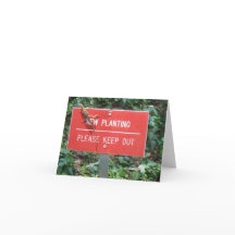 Nytt plantera med geckoen noterar kortet