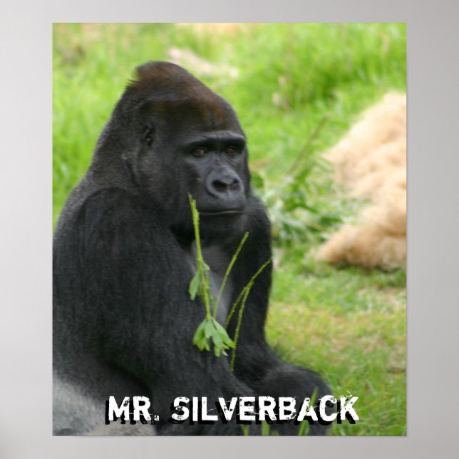 Nytt Poster (Framsidan)