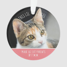 Nytt sällskapsdjur - första julklat Kitten Photo H