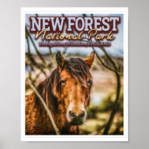 NYTT SKOGSNATIONELLT PARK - NY SKOGSPONY POSTER