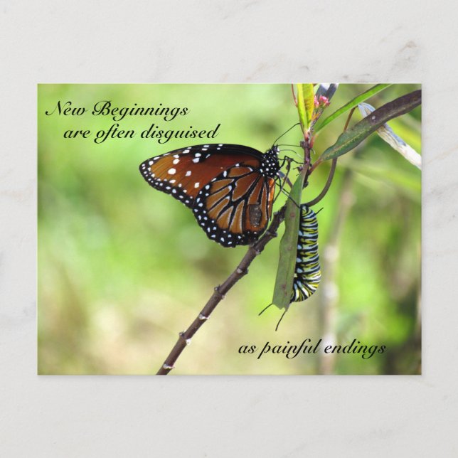 Nytt startvykort vykort (Framsida)