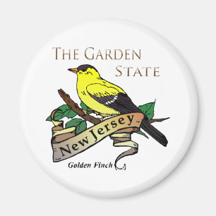 Nytt - statlig guld- Finch för jerseyträdgård Magnet