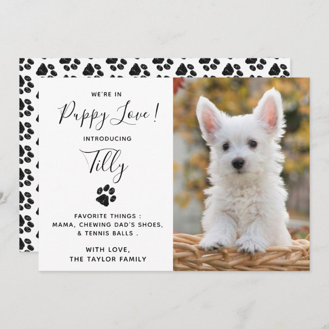 Nytt tillkännagivande om marionettens Hund (Fram/baksida)