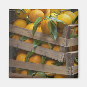 nytt valda orangar magnet