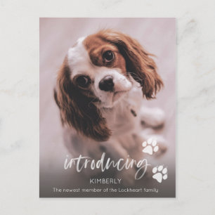 Nytt Valpmeddelande, Vuxen Hund Adoption Vykort