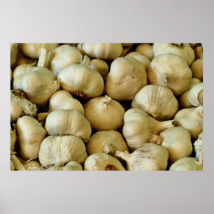 Nytt vitlökfoto poster
