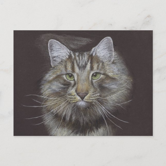 Nytt vykort för anmälan om sällskapsdjur (Framsida)