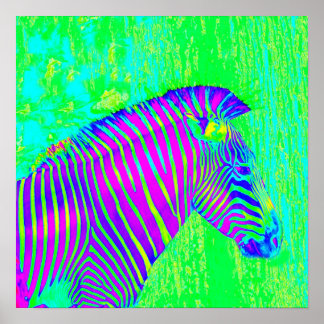 nyzebra - grönt, blått och lila-reflektor poster