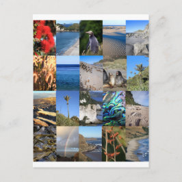 Nyzeeländska kustscenen Kiwiana Vykort