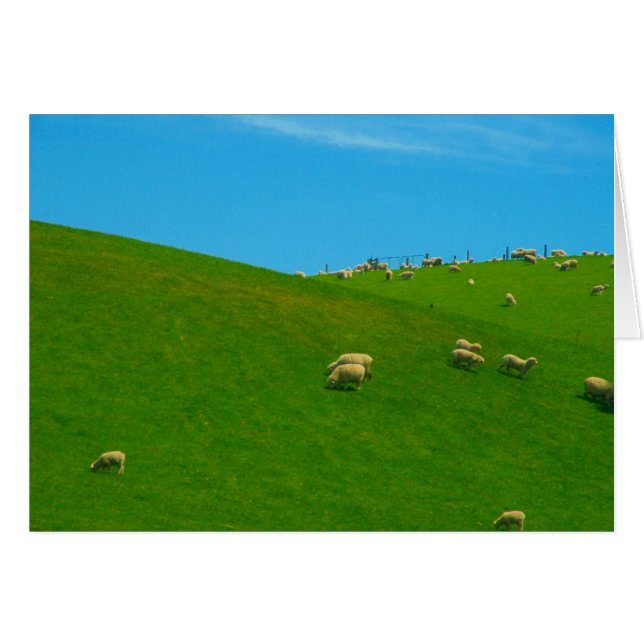 nz får backe hälsningskort (Framsidan Horizontal)