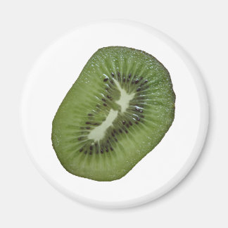 NZ Kiwi Magnet