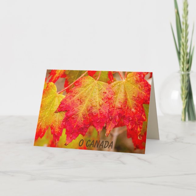 O CANADA KORT (Framsida)