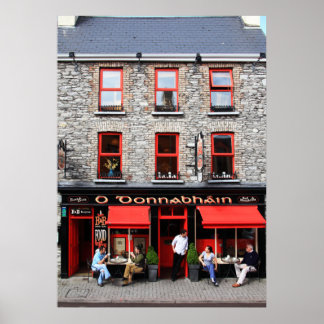 O Donnabhain's Irish Pub Poster