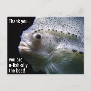 O-fish-ally the Best Tack Postcard Vykort