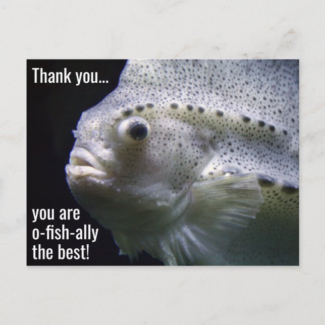 O-fish-ally the Best Tack Postcard Vykort (Framsida)