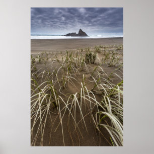Ö för Karekare strand   Panatahi, västkusten Poster