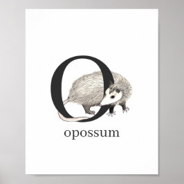 O för Opossum-Poster Poster