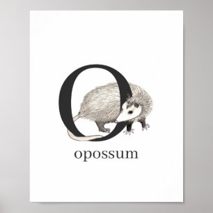 O för Opossum-Poster Poster