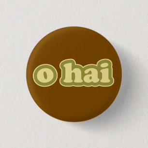 O HAI Lolcat Talar Flair Pinback Button Knapp