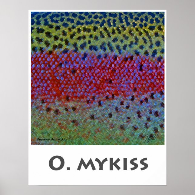 O Mykiss - Poster (Framsidan)