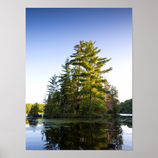 Ö på Long Pond-sjön Poster (Framsidan)