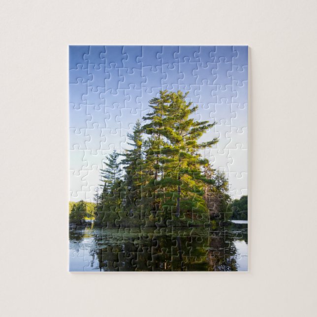 Ö på Long Pond-sjön Pussel (Vertikal)