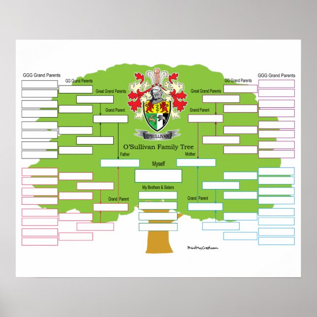 O-Sullivan-Family-Träd Poster (Framsidan)