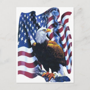 Öagle med amerikansk flagga vykort