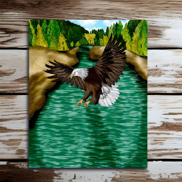Öagle som flyter över floden i bergen poster