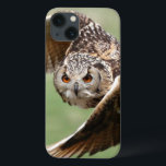Öagle Uggla under flygning<br><div class="desc">En stor,  vackert örn uggla under flygning som kommer rakt på dig_x005F_x000D_ ** Obs! Ljusare oskärpa,  bäst vid mindre storlekar © och ® Bigstock® - Med alla Höger reserverade.</div>