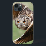Öagle Uggla under flygning<br><div class="desc">En stor, vackert örn uggla under flygning som kommer rakt på dig_x005F_x000D_ ** Obs! Ljusare oskärpa, bäst vid mindre storlekar © och ® Bigstock® - Med alla Höger reserverade.</div>