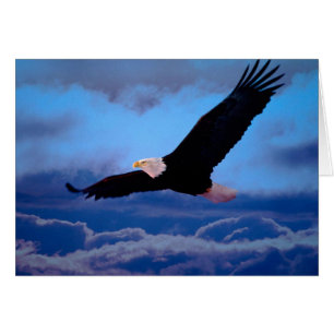 Öagle under flygning hälsningskort