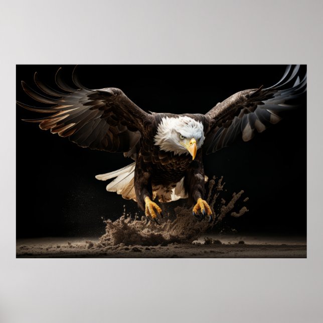 Öagle Vild Djurnaturen Porträtt Beauty Poster (Framsidan)